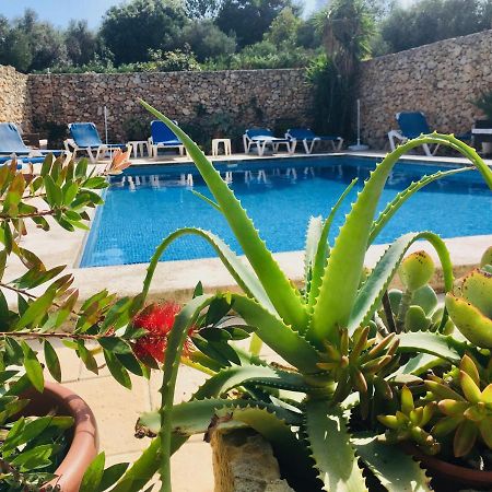 Botanica B&B Xagħra Zewnętrze zdjęcie