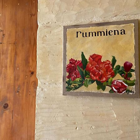 Botanica B&B Xagħra Zewnętrze zdjęcie