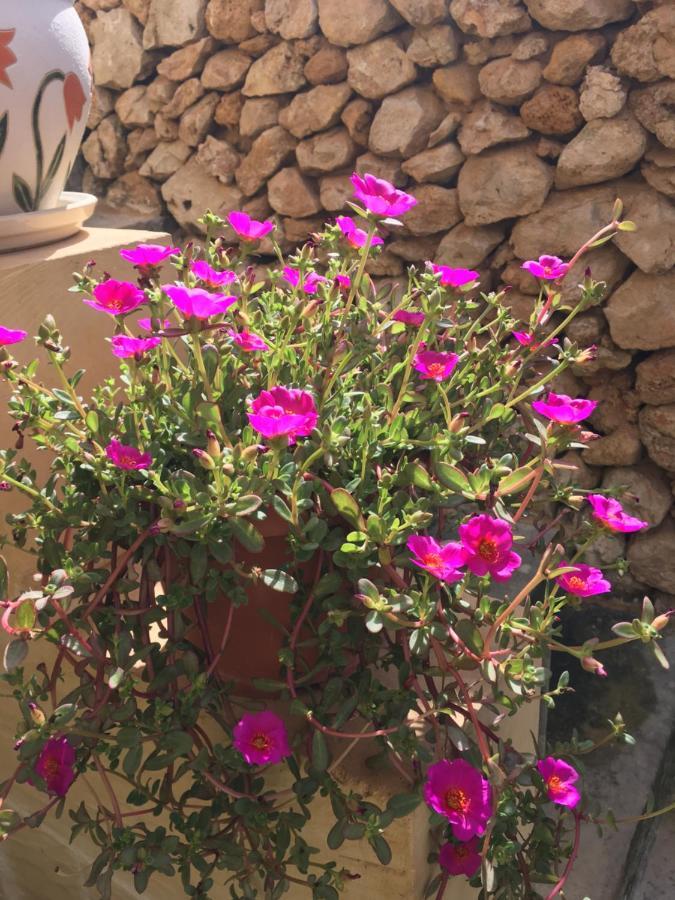 Botanica B&B Xagħra Zewnętrze zdjęcie