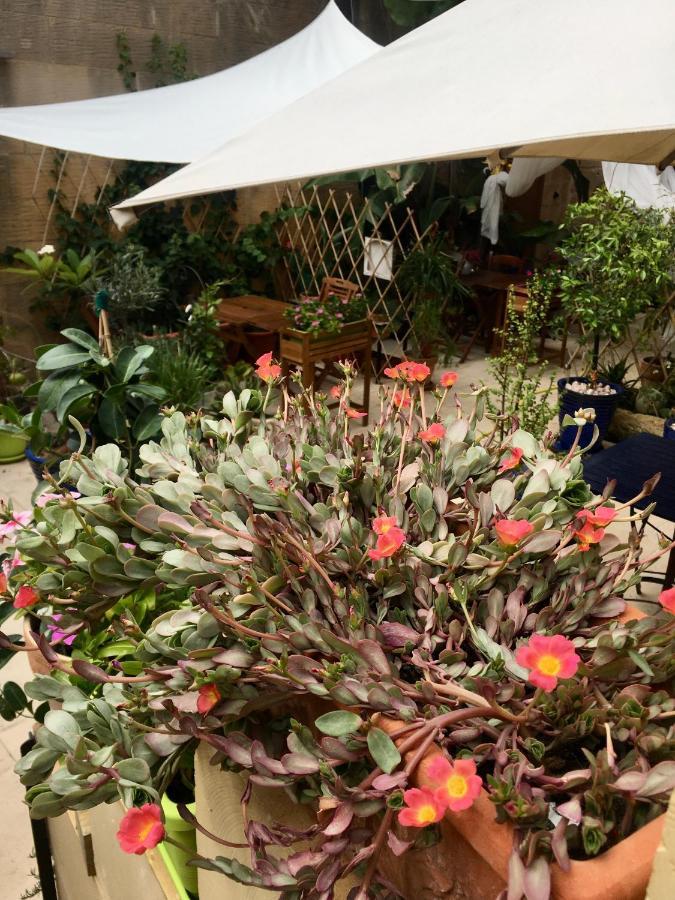 Botanica B&B Xagħra Zewnętrze zdjęcie