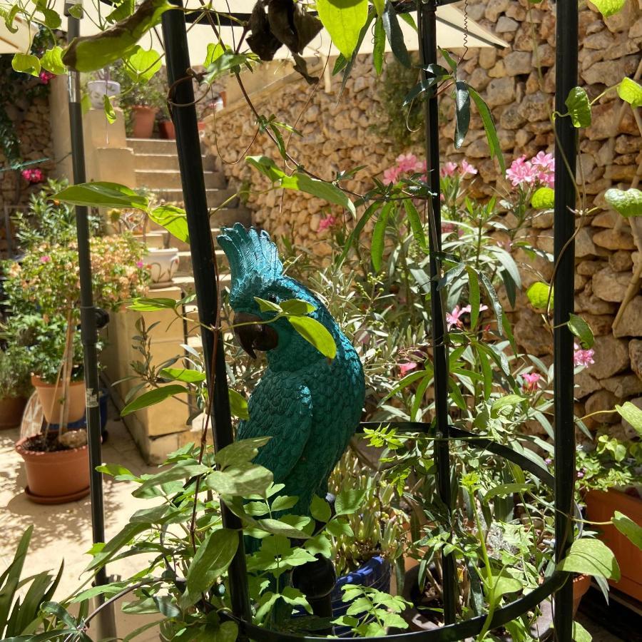 Botanica B&B Xagħra Zewnętrze zdjęcie